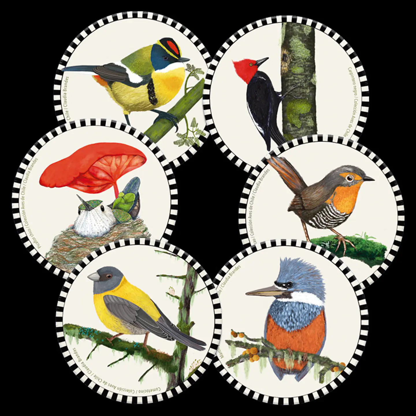 Set 6 posavasos Pajaritos Chilenos, Serie 1 2