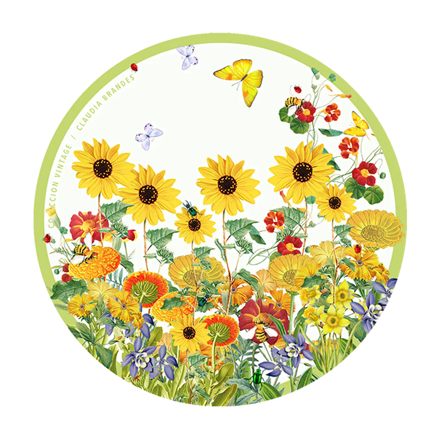 OFERTA! Set 6 posavasos flores Colección Vintage 2