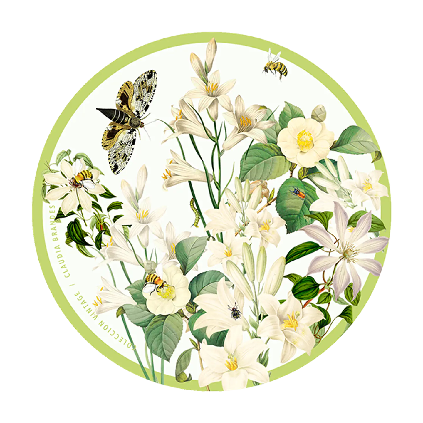 OFERTA! Set 6 posavasos flores Colección Vintage 4
