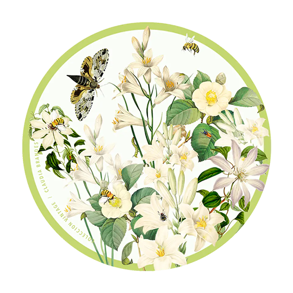 OFERTA! Set 6 posavasos flores Colección Vintage 4