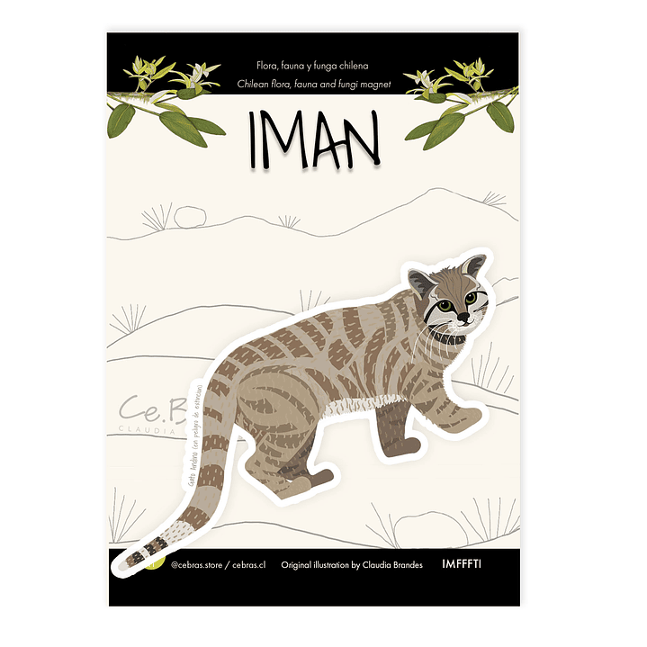 Iman Gato Andino 1