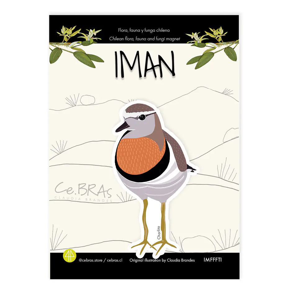 Iman Chorlito 1