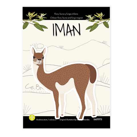 Iman Guanco