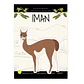 Iman fauna chilena - Guanco - thumbnail 1