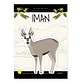 Iman fauna chilena - Huemul - thumbnail 1