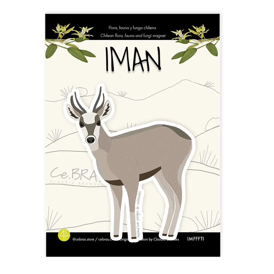 Iman Huemul 1