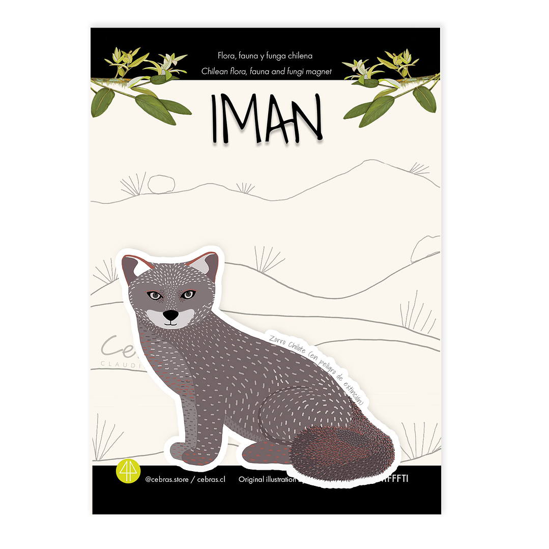 Iman Zorro chilote 1