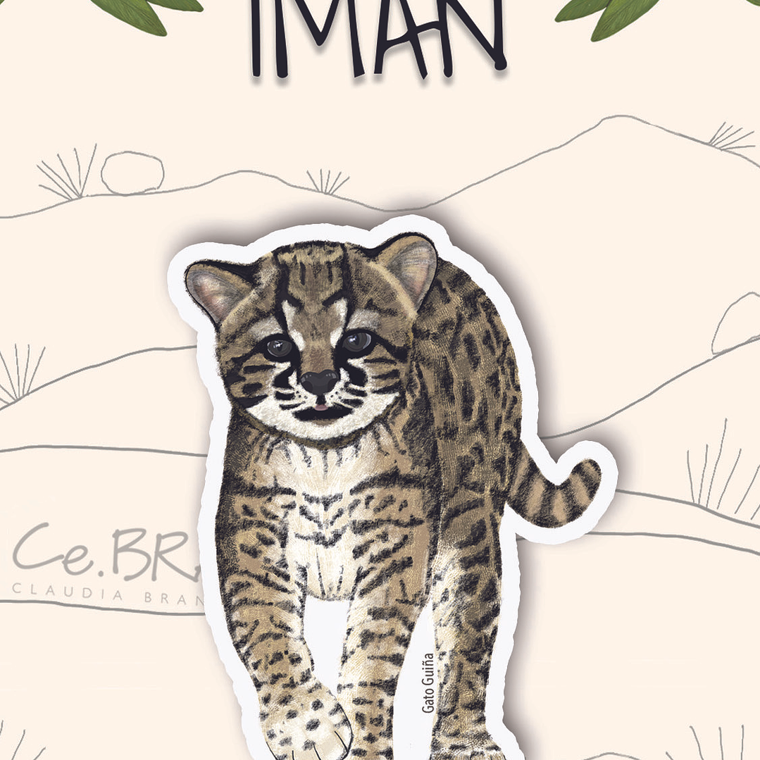 Iman Gato Guiña 1