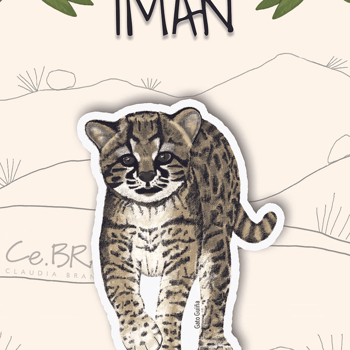 Iman Gato Guiña 1