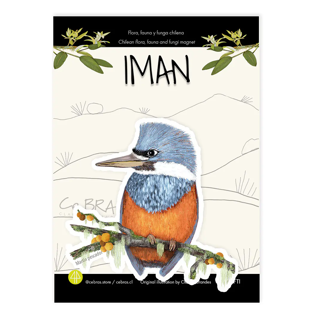Iman Martín Pescador, Aves de Chile 1