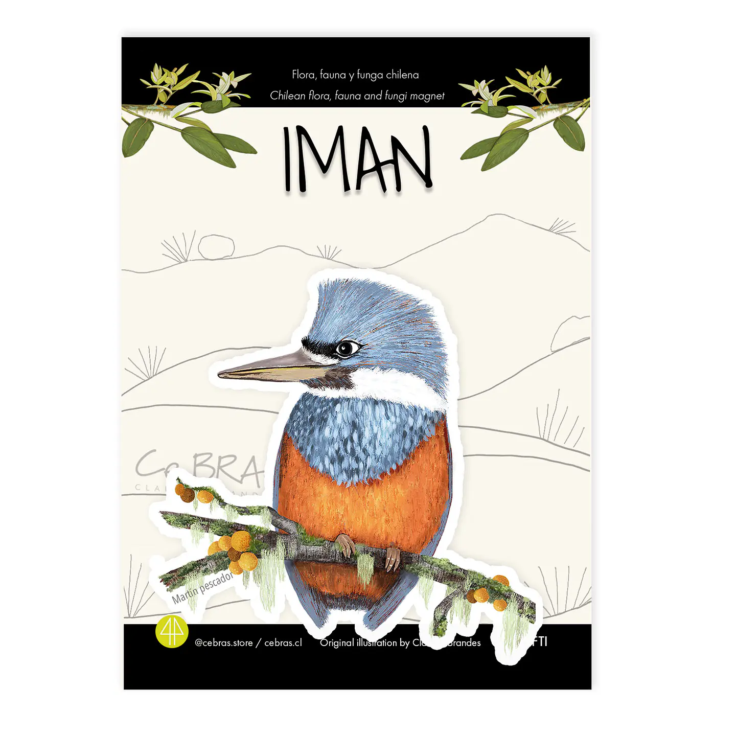 Iman Martín Pescador, Aves de Chile 1