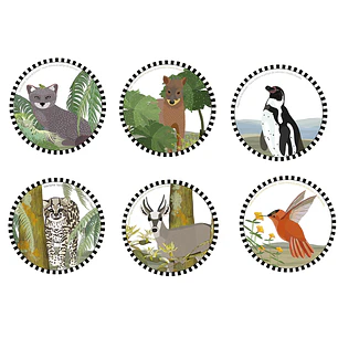 PRONTO NUEVO DISEÑO!! Set 6 posavasos Fauna chilena en peligro