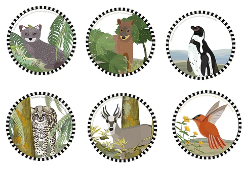 PRONTO NUEVO DISEÑO!! Set 6 posavasos Fauna chilena en peligro