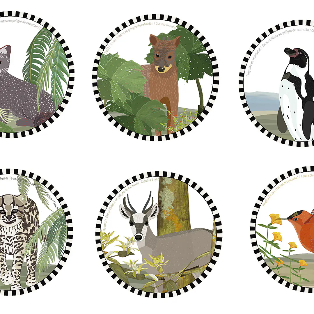 PRONTO NUEVO DISEÑO!! Set 6 posavasos Fauna chilena en peligro 2