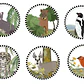 PRONTO NUEVO DISEÑO!! Set 6 posavasos Fauna chilena en peligro - Miniatura 2