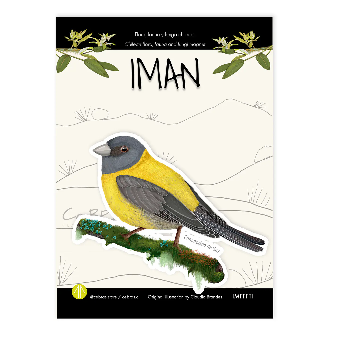 Iman Cometocino de Gay, Aves de Chile 1