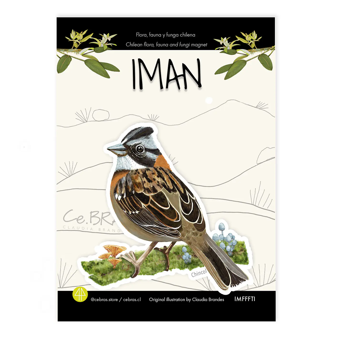 Iman Chincol, Aves de Chile 1