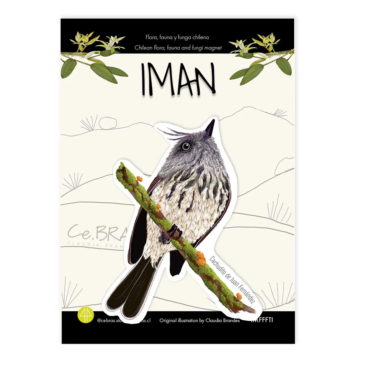 Iman  Cachudito, Aves de Chile 1