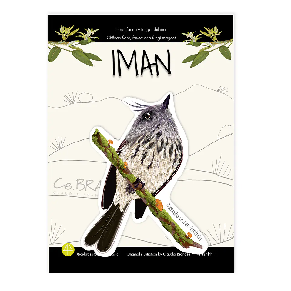 Iman  Cachudito, Aves de Chile 1