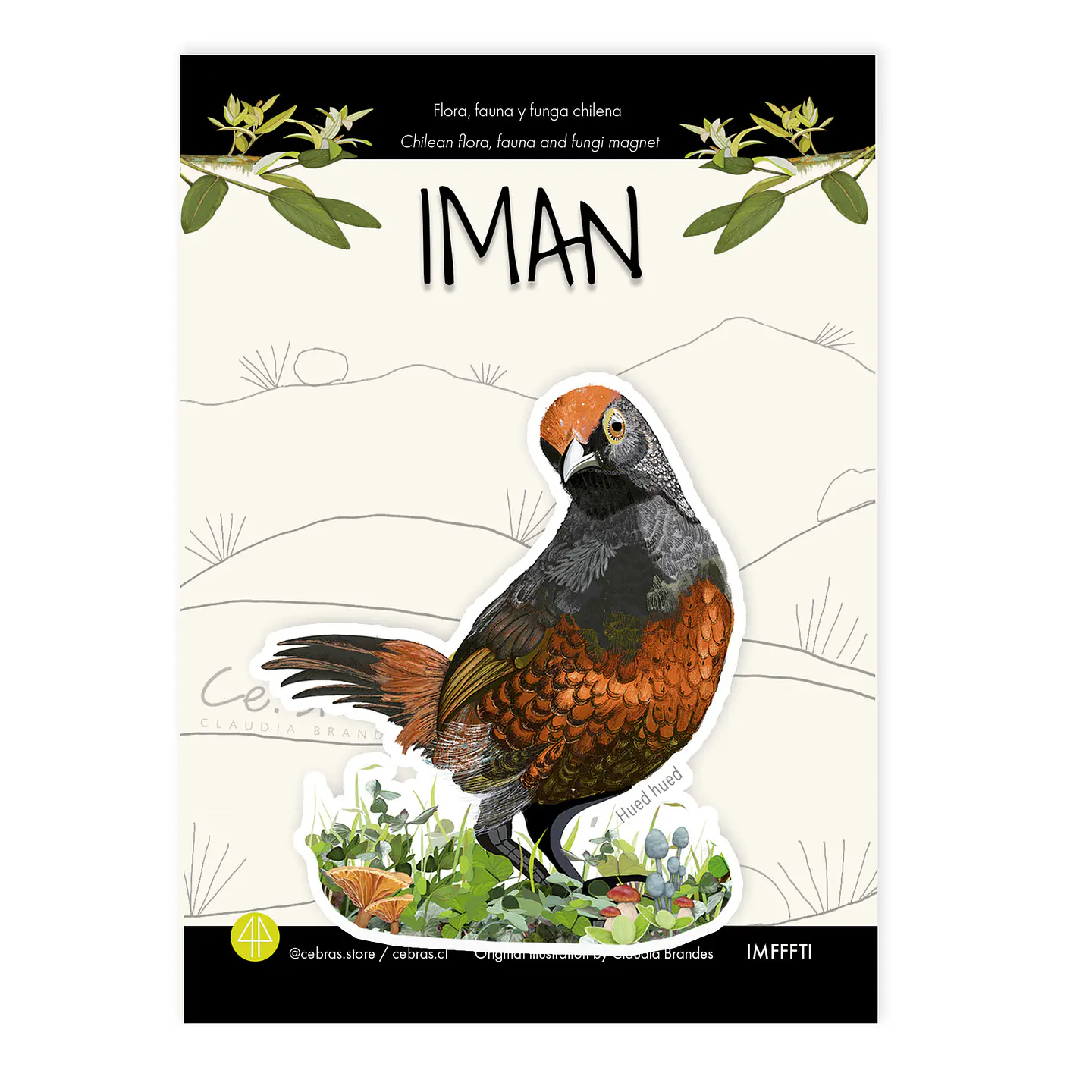 Iman Hued Hued, Aves de Chile 1