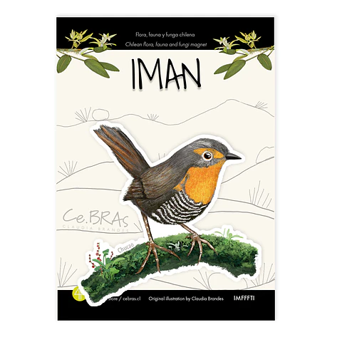 Iman Chucao, Aves de Chile