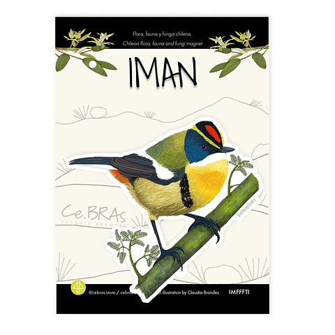 Iman Sietecolores, Aves de Chile