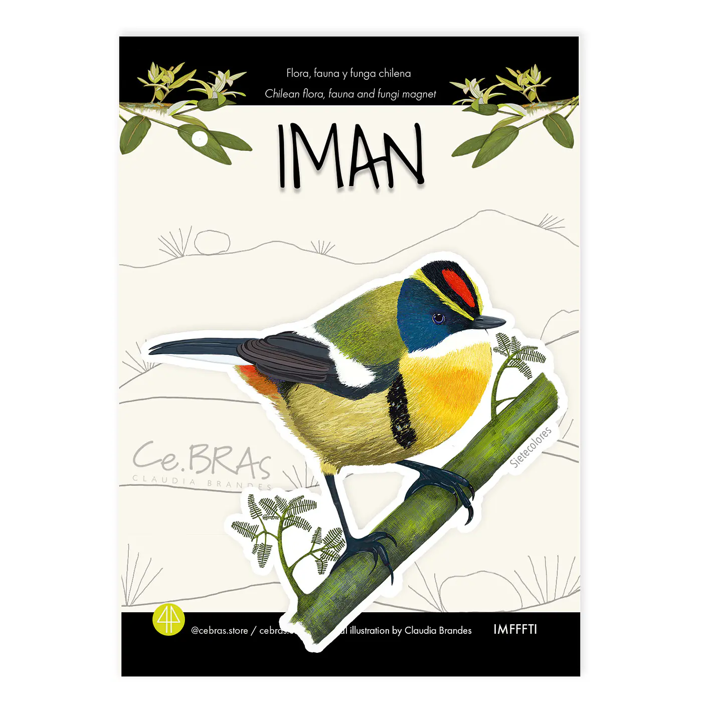 Iman Sietecolores, Aves de Chile 1