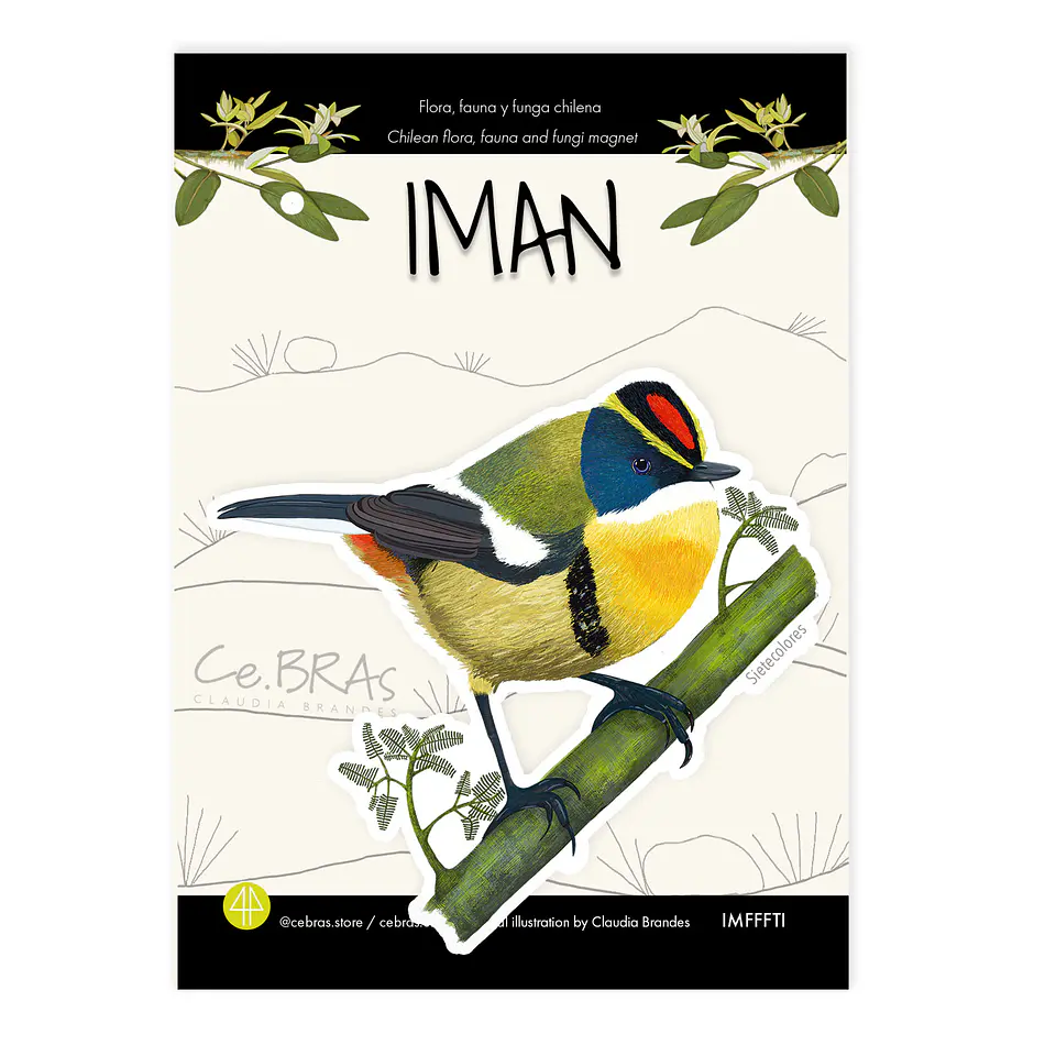 Iman Sietecolores, Aves de Chile 1