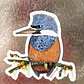  Set 3 imanes Bosques del Sur, Aves de Chile - Miniatura 4