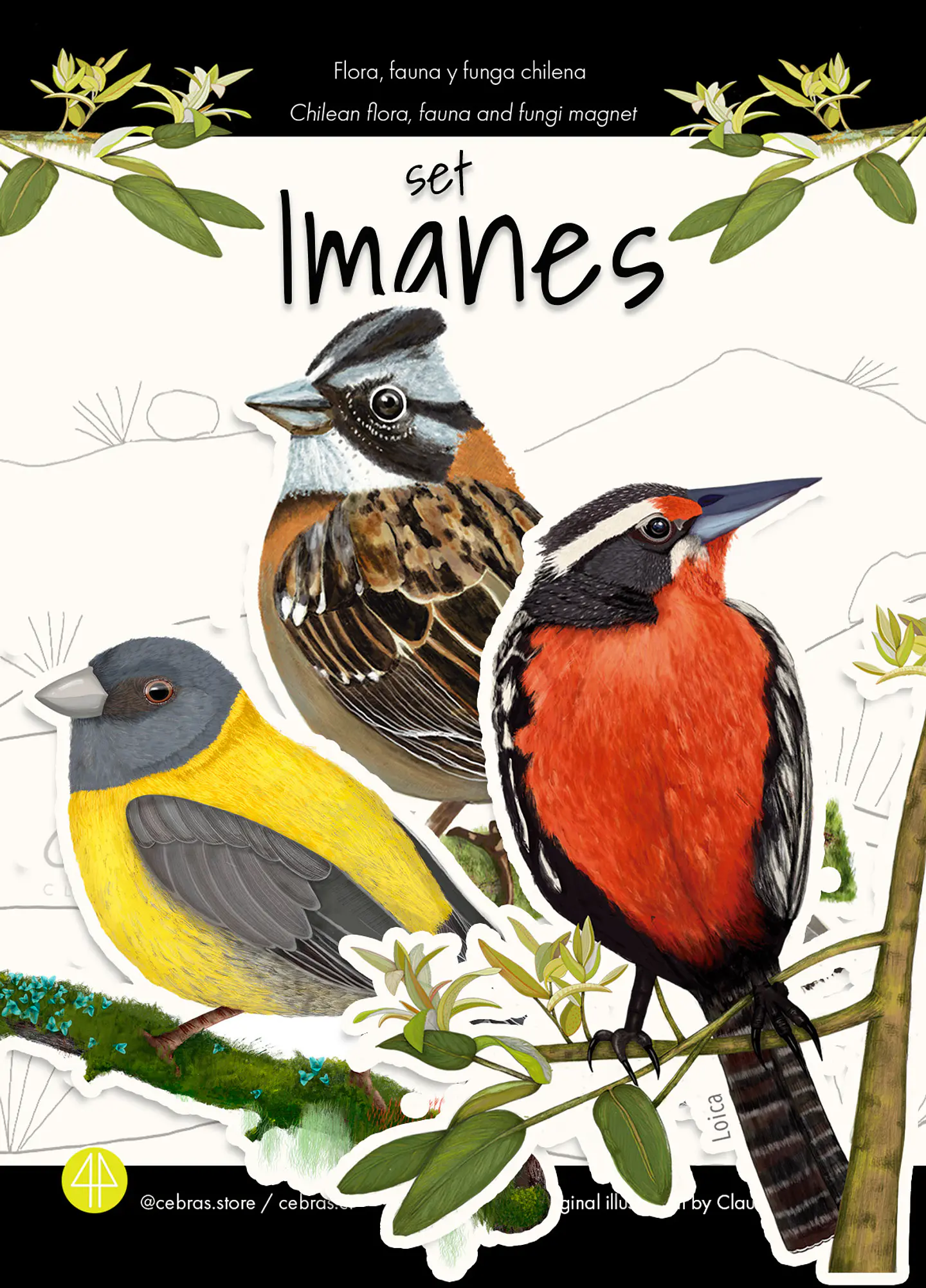  Set 3 imanes Pajaritos Urbanos, Aves de Chile 1