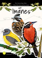  Set 3 imanes Pajaritos Urbanos, Aves de Chile - thumbnail 1