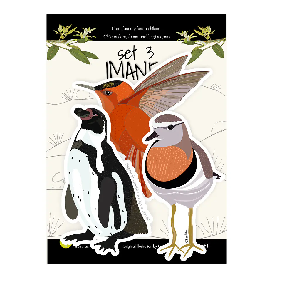 Set 3 imanes Fauna en peligro - 1 5