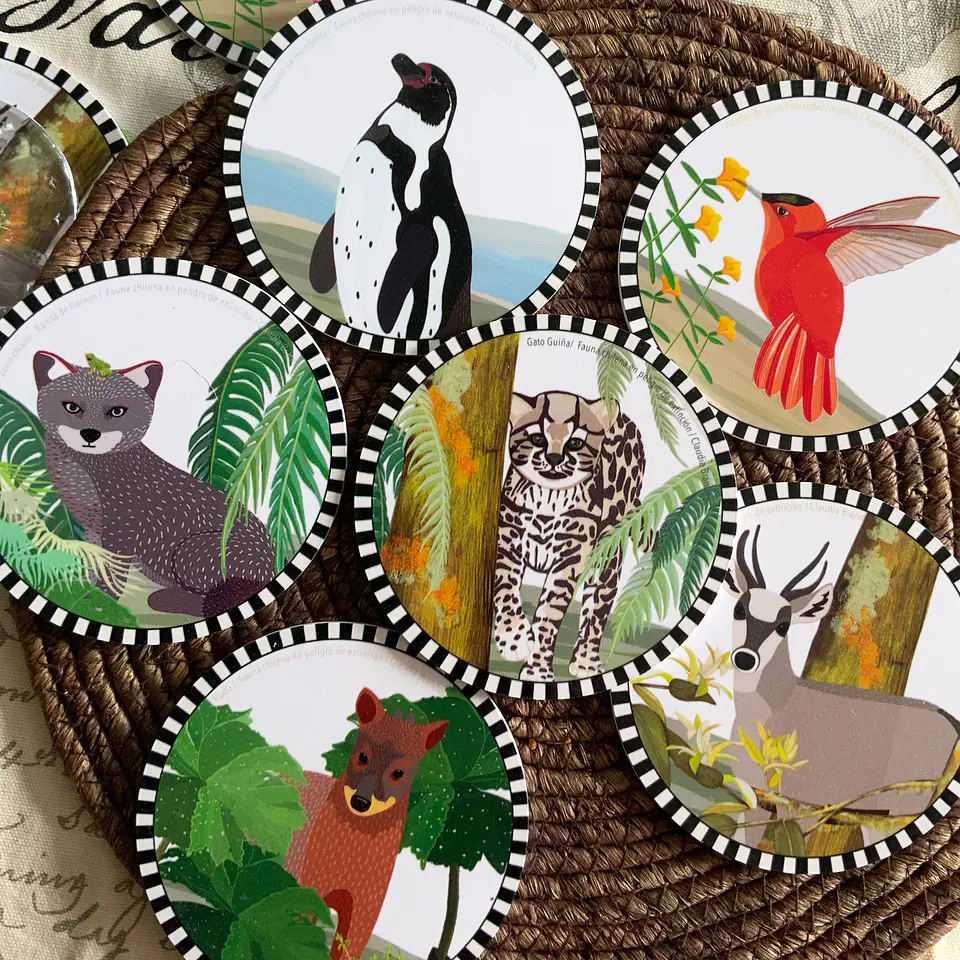 Set 6 posavasos Fauna Chilena en peligro 1
