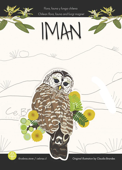 Iman pájaros chilenos - Con Con