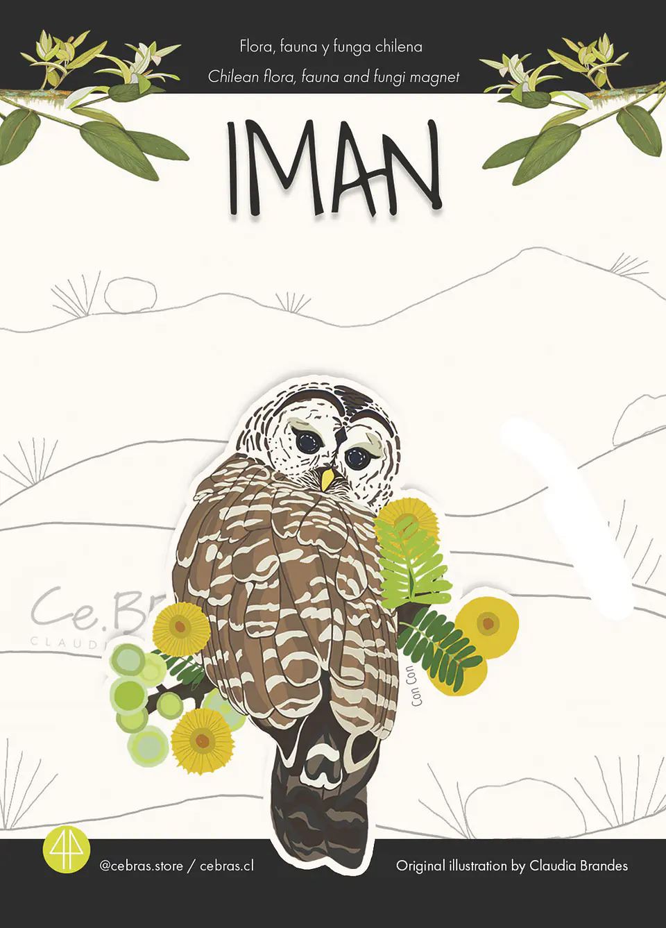 Iman pájaros chilenos - Con Con 1