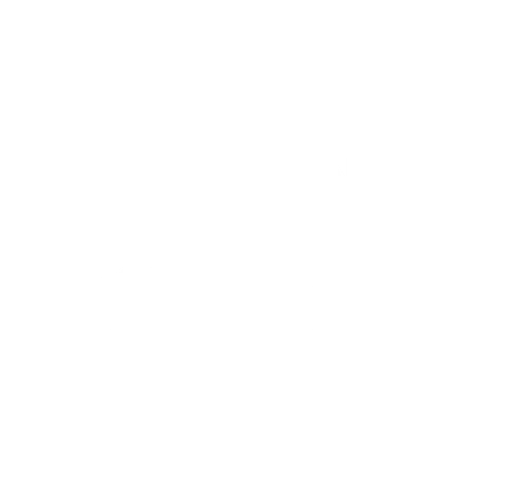 Imán  pájaros chilenos - Garza Cuca