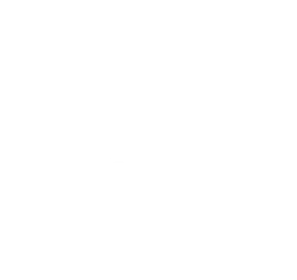 Imán  pájaros chilenos - Garza Cuca 2