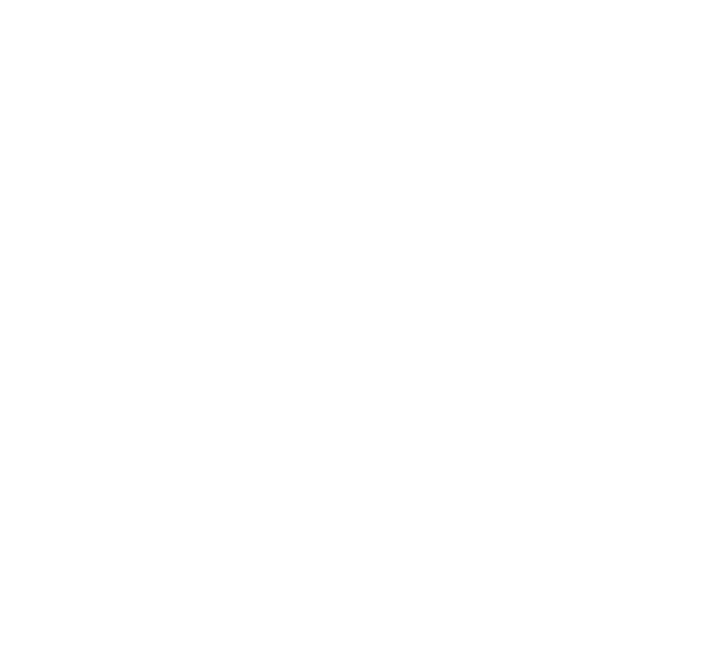 Imán  pájaros chilenos - Garza Cuca 3
