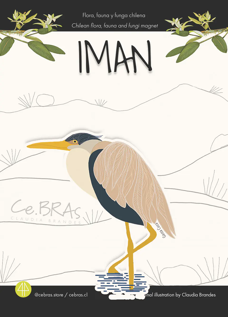 Imán  pájaros chilenos - Garza Cuca 1