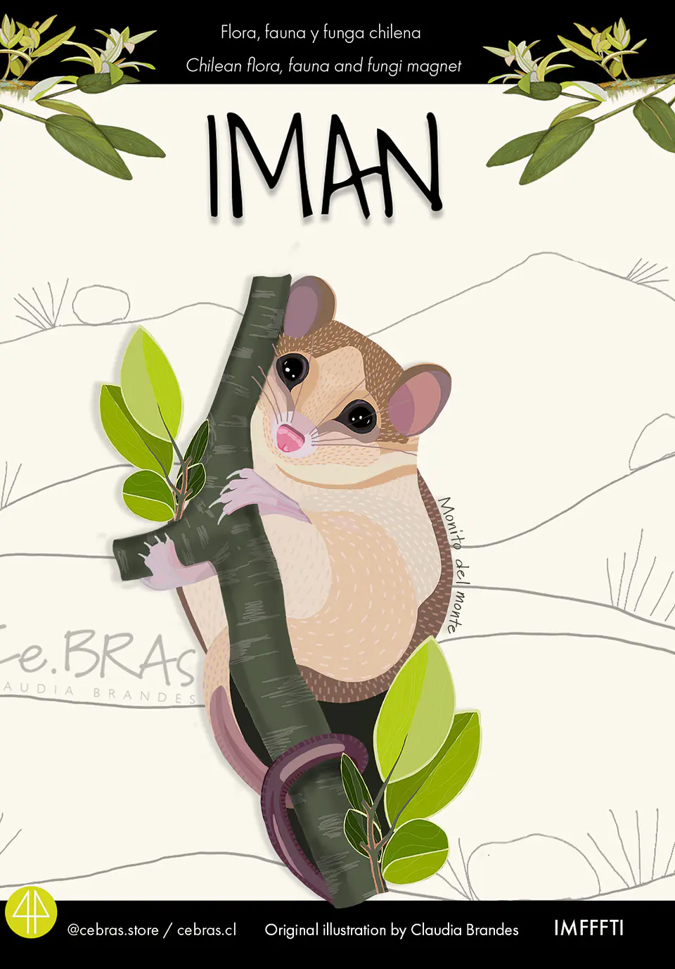 Iman  fauna chilena - Monito del Monte 1