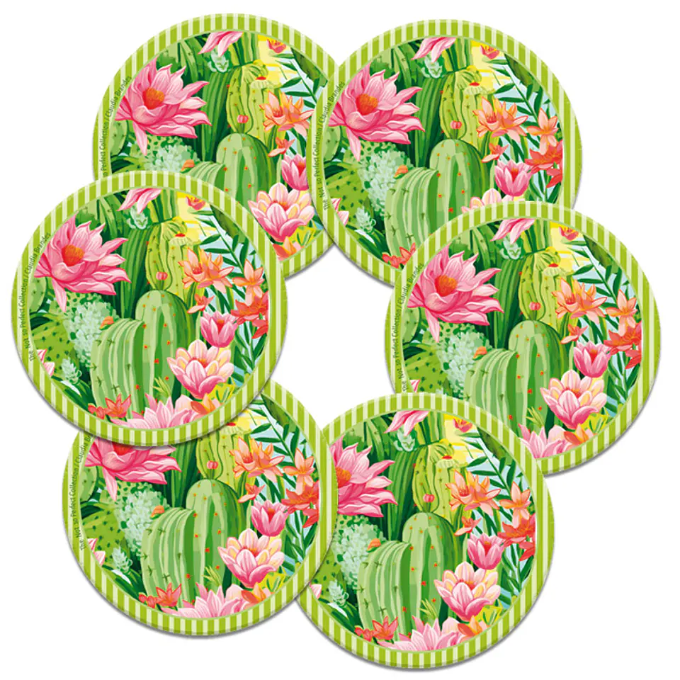 DESCUENTO!! Set 6 posavasos ilustrados, Cactus en flor 1