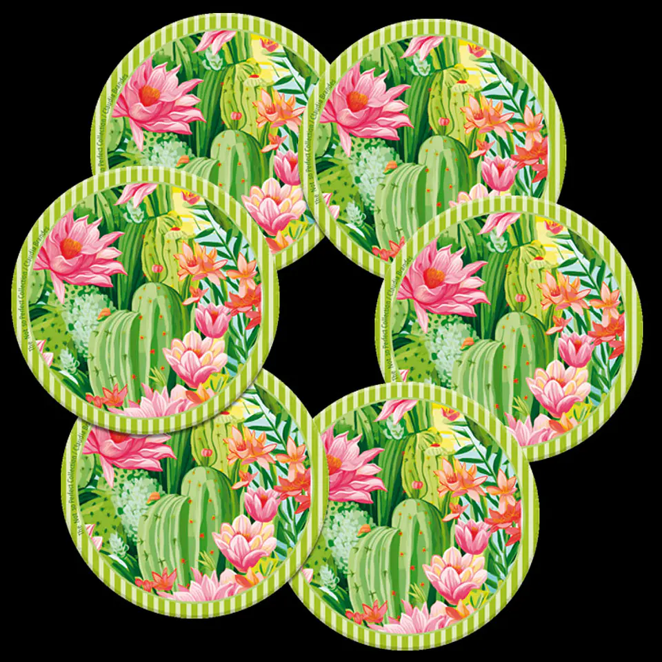 DESCUENTO!! Set 6 posavasos ilustrados, Cactus en flor 3