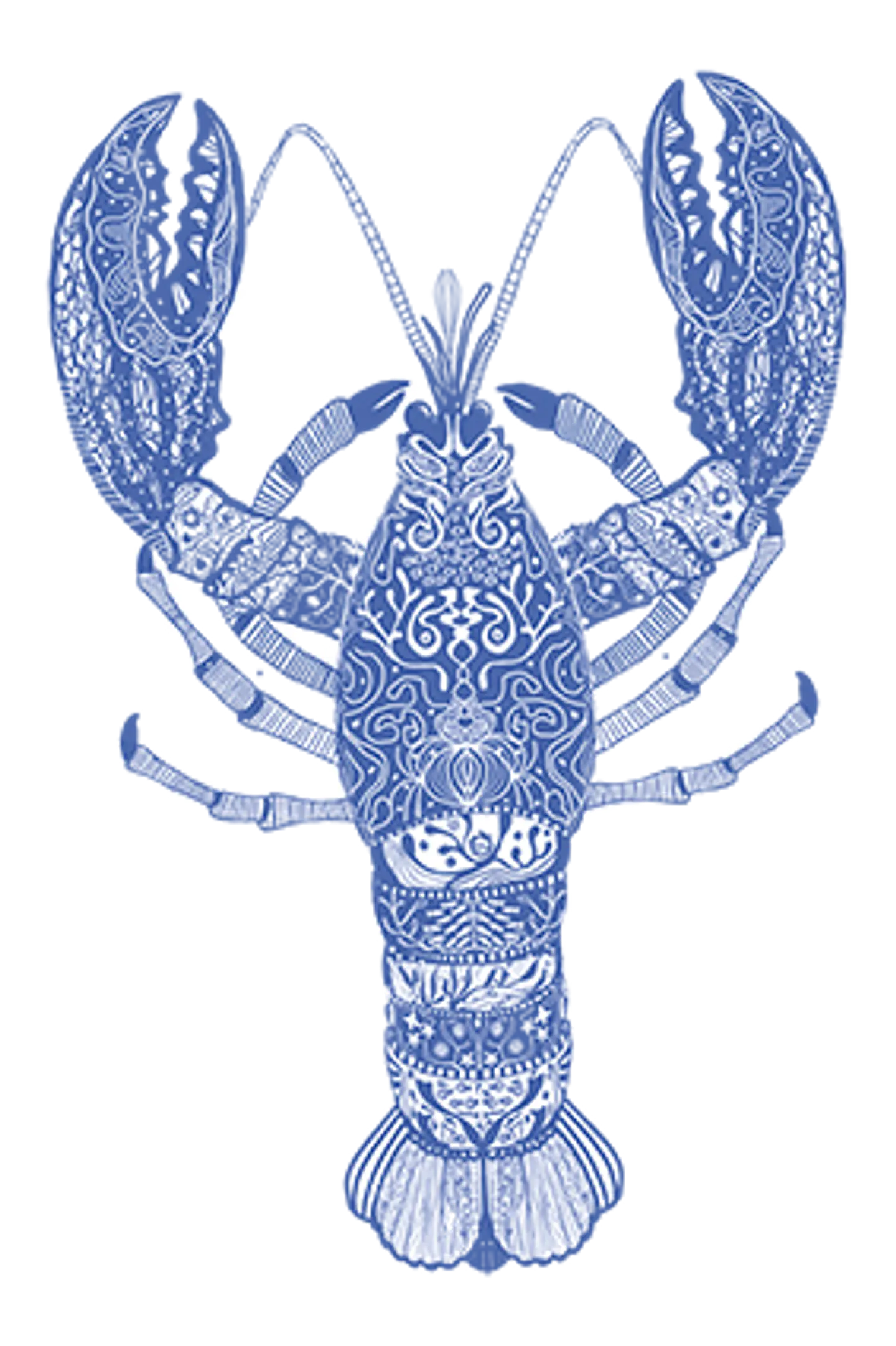 Tazón metálico enlozado animales de mar 5