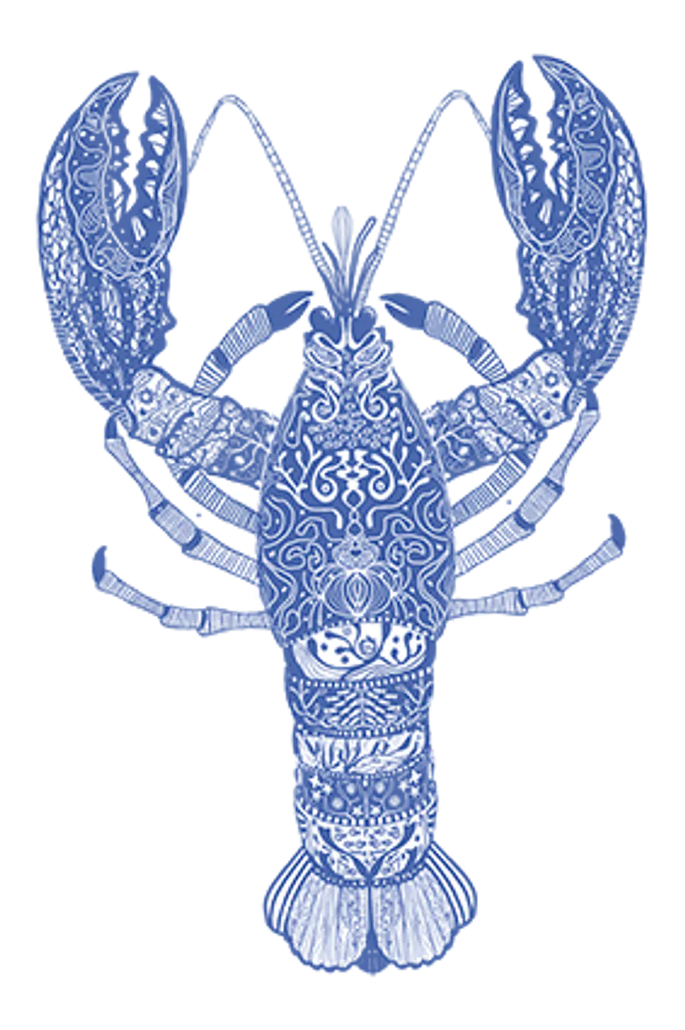 Tazón metálico enlozado animales de mar 5