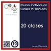 Curso Individual 20 clases de 90 minutos