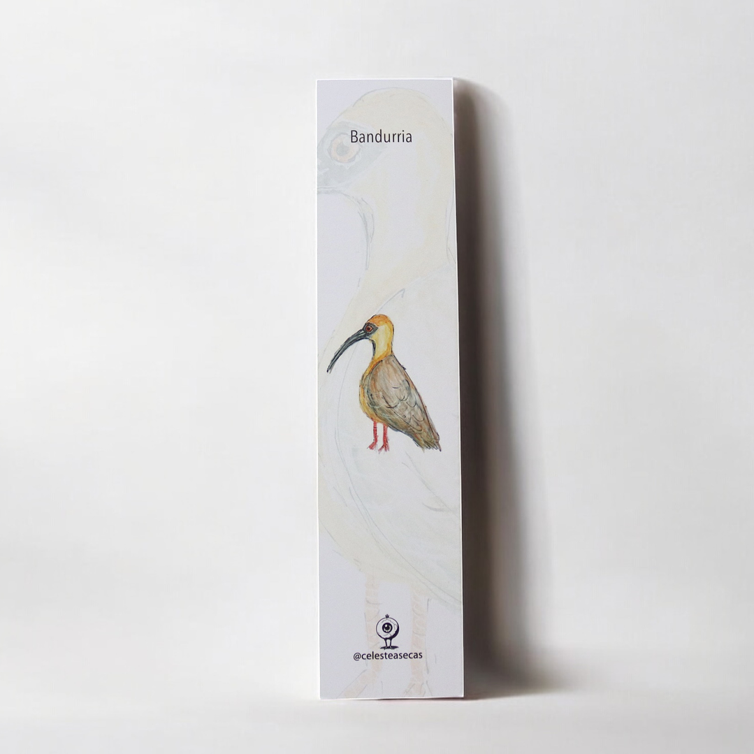 PAJAREOS - BOOKMARK 2