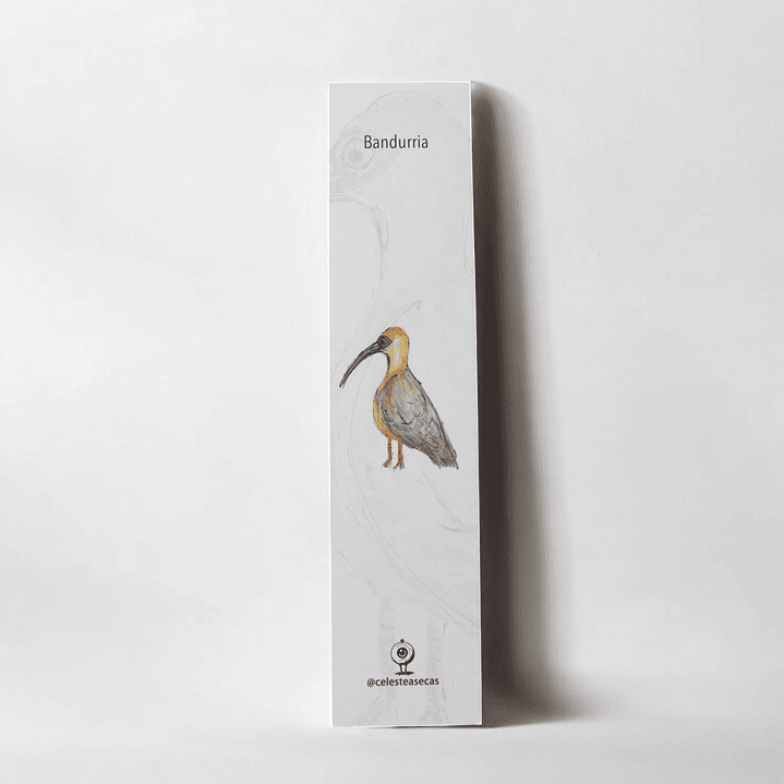 PAJAREOS - BOOKMARK 2