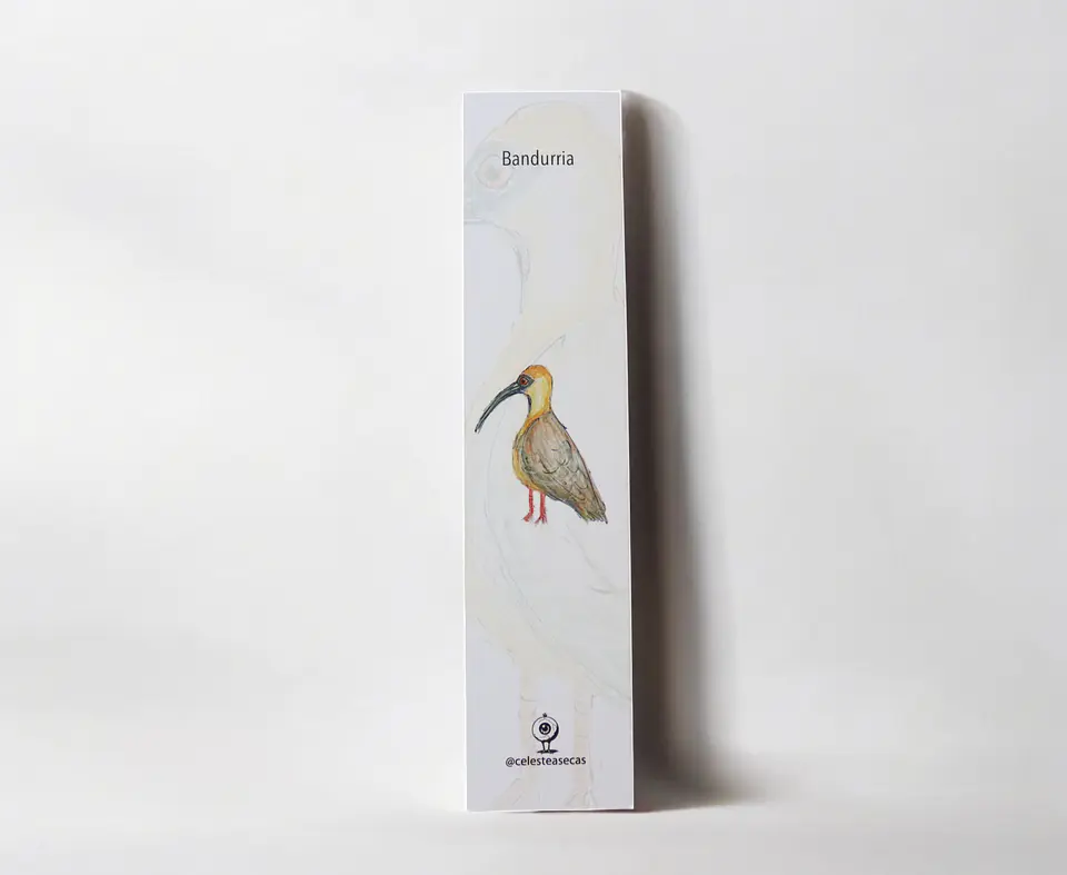 PAJAREOS - BOOKMARK 2
