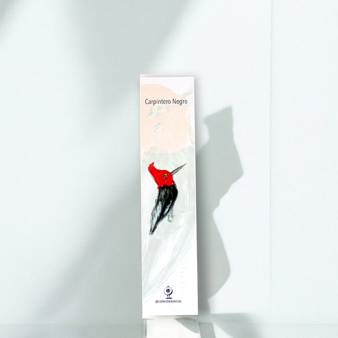 PAJAREOS - BOOKMARK 3