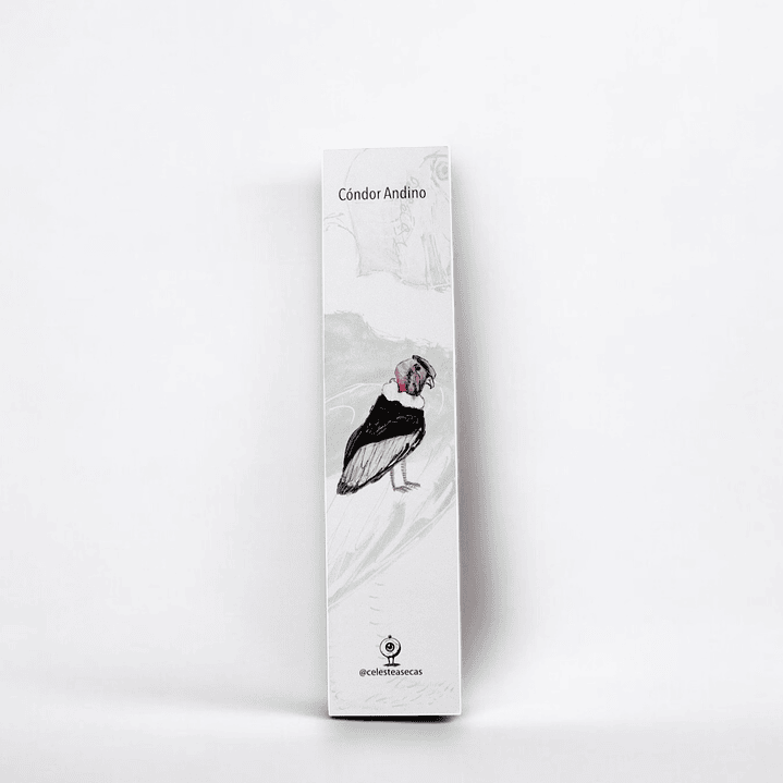 PAJAREOS - BOOKMARK 5